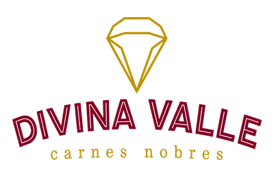 Logo Divina Valle